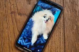 How to get the Snapchat &lsquo;Disney&rsquo; filter and cartoonise your pet