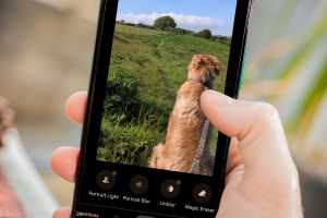 How to get Google&rsquo;s Magic Editor on any phone - Android or iPhone