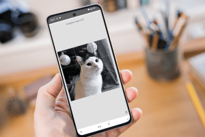 How to flip a photo on Android